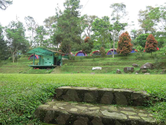 Tempat Camping Di Bogor Yang Seru Abis Blog Ruparupa