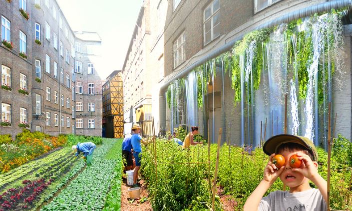 gambar urban farming
