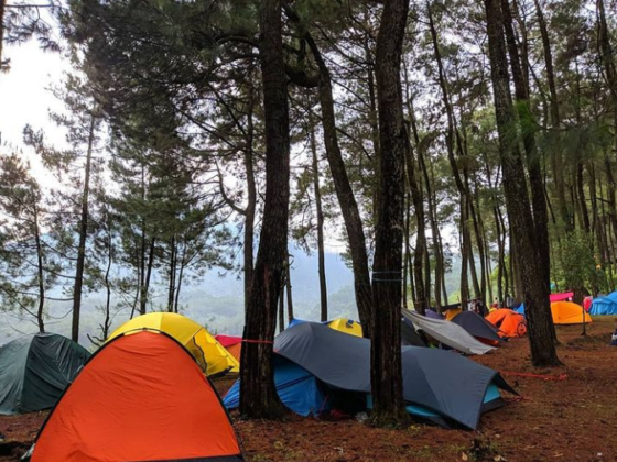 15 Tempat Camping Di Bogor Yang Seru Abis! | Blog Ruparupa