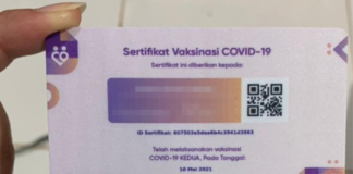 cara mengecek sertifikat vaksin covid