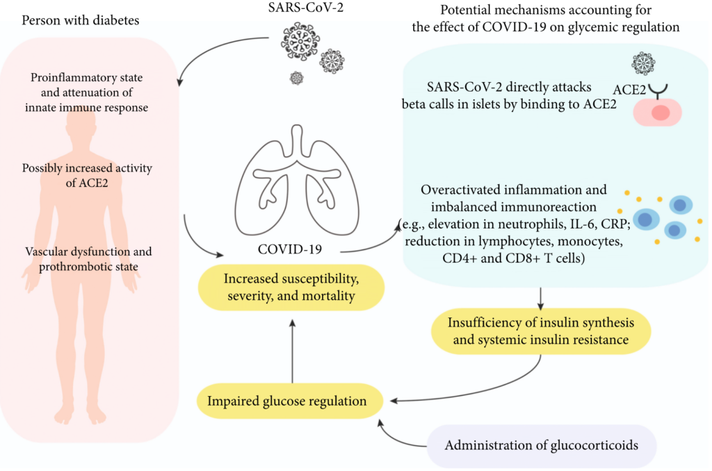 Pencegahan-covid-pada-penderita-diabetes