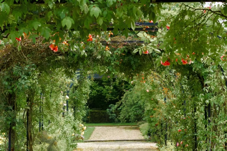 vertical garden