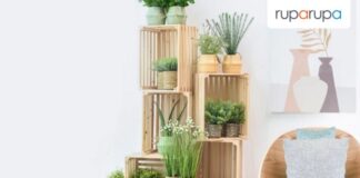 tips memilih furnitur eco friendly