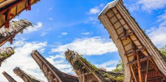 rumah adat toraja